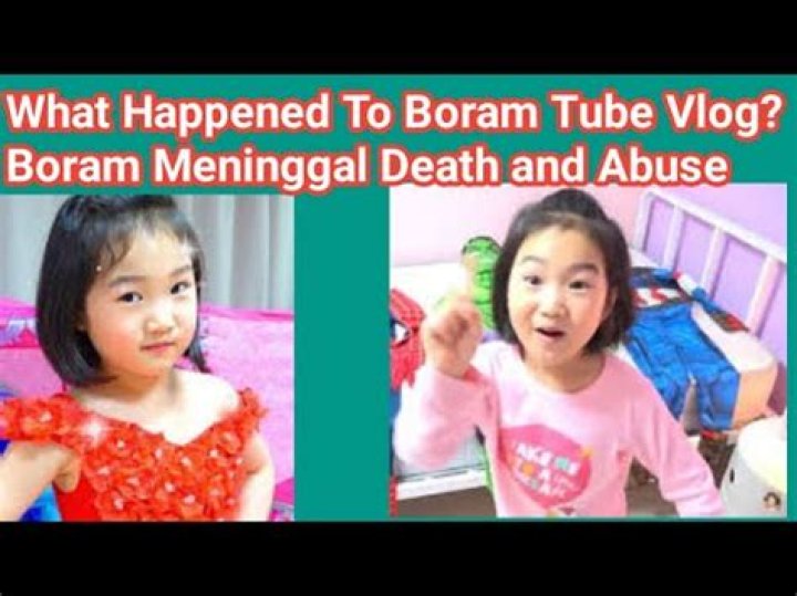 Boram Tube Vlog Child Abuse News As Youtuber Passed Away, Here Is What Happened To Him?