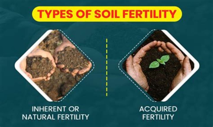 Characteristics of infertile soil