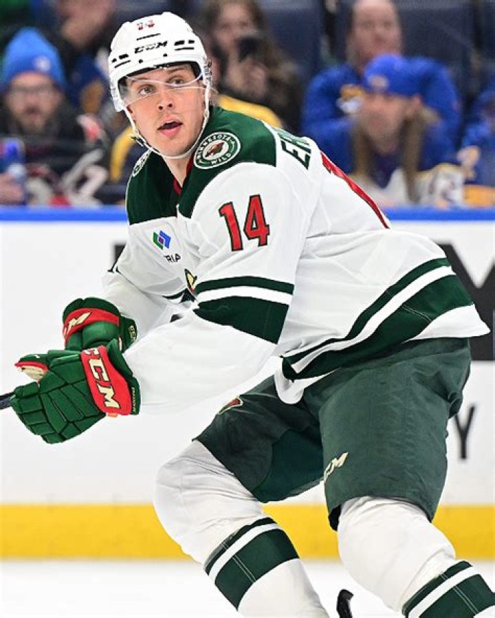 Joel Eriksson Height, Weight, Net Worth, Age, Birthday, Wikipedia, Who, Nationality, Biography