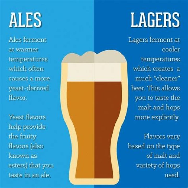 What is the Difference Between Ale and Stout